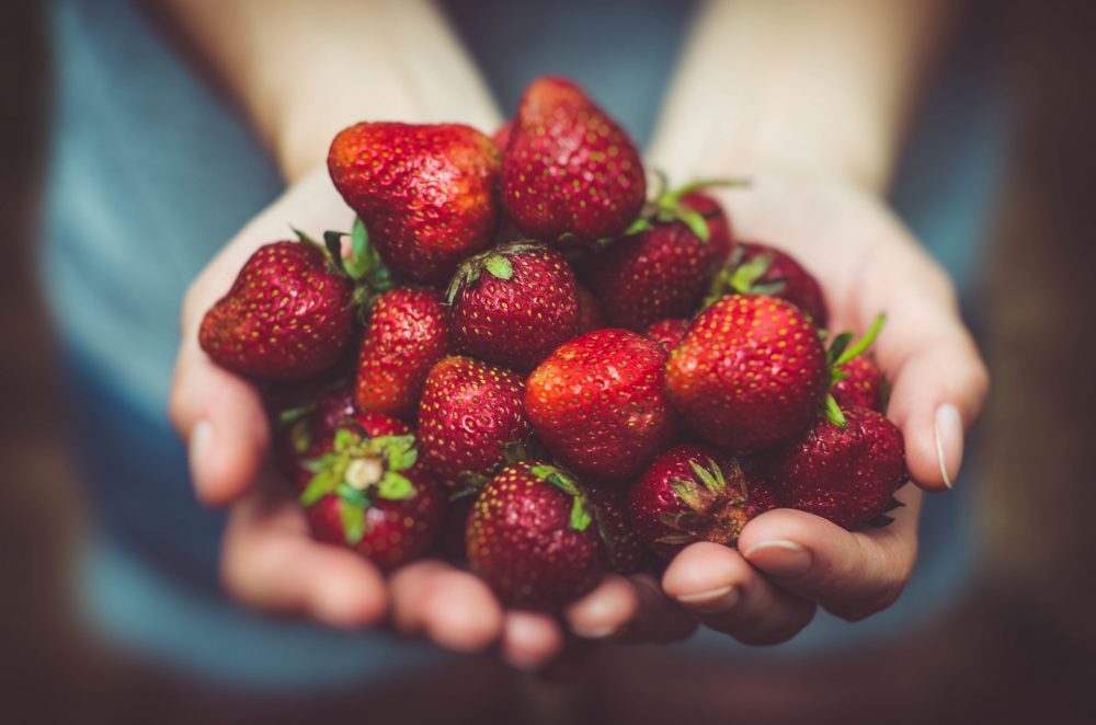 Person holding a handful of strawberries