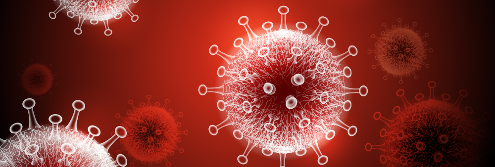 image of several coronavirus cells